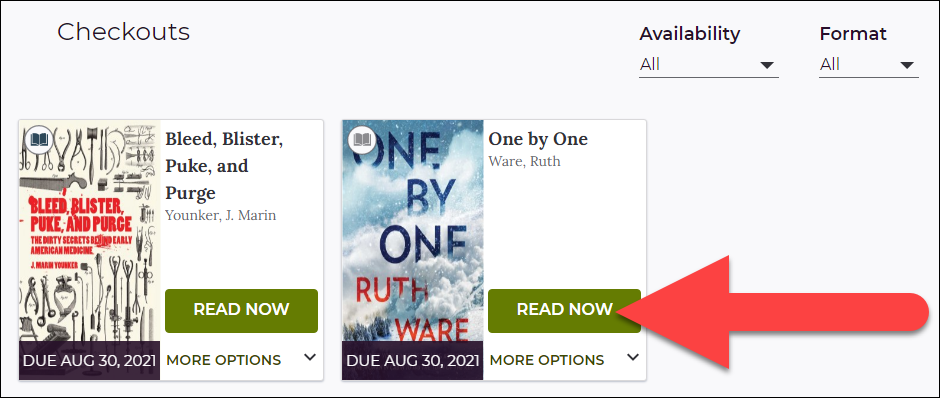 image of checkouts page with read now highlighted