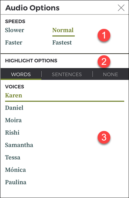 image of text to speech options